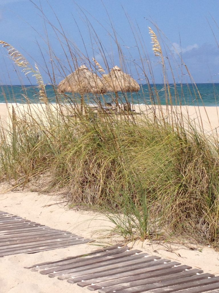 Beach Grass, Florida